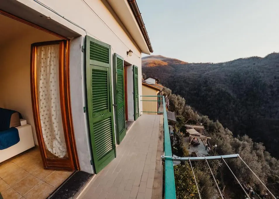 Holiday home The Olive Trees- Jacuzzi-Garden-Wifi-Barbecue-Parking Villa Avegno