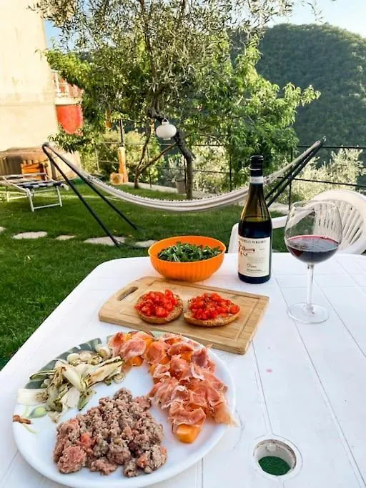Holiday home The Olive Trees- Jacuzzi-Garden-Wifi-Barbecue-Parking Villa Avegno